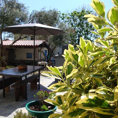 Apartments Olea Pinezići 外观 照片
